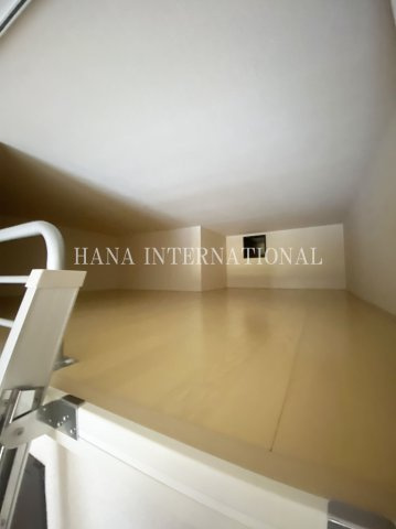 レオネクスト緑のその他