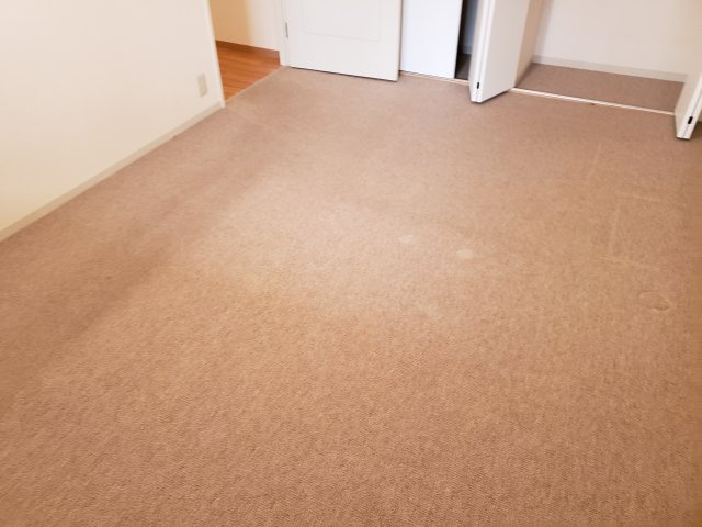 グランドコートB棟の居間・リビング