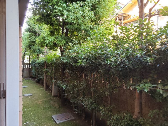 グランドコートB棟の庭