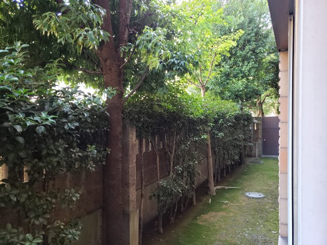 グランドコートB棟の庭