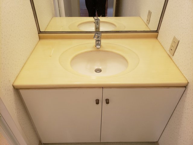 グランドコートB棟の洗面所