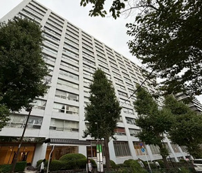 湯島ハイタウンA棟の画像