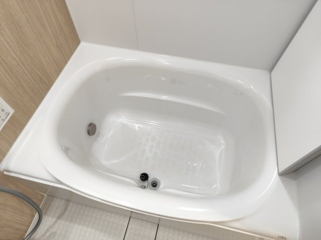 AXIS A(アクシズエー)の浴室