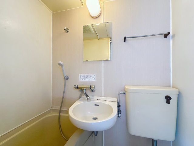 チェリーヒルAの洗面所