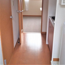 落ち着いた玄関です