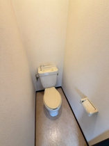 落ち着いた色調のトイレです