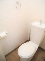 落ち着いた色調のトイレです
