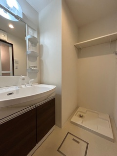 プルメリア江坂の洗面所|忙しい朝には欠かせない洗面所です