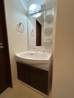 プルメリア江坂の独立洗面台|朝の支度にも助かる、独立の洗髪洗面化粧台