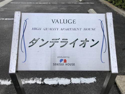 【その他】 | ダンデライオンA