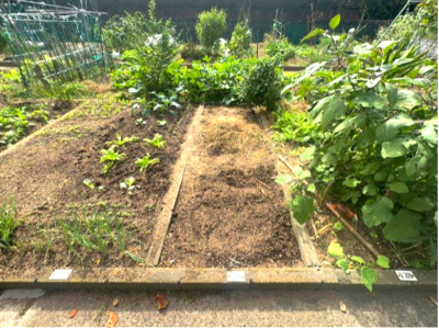 【庭】 | 泉北赤坂台住宅弐号棟