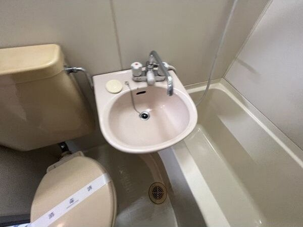 アールユーアイ21の洗面所