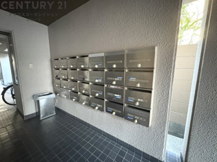 ダイドーメゾン甲子園口のその他物件画像