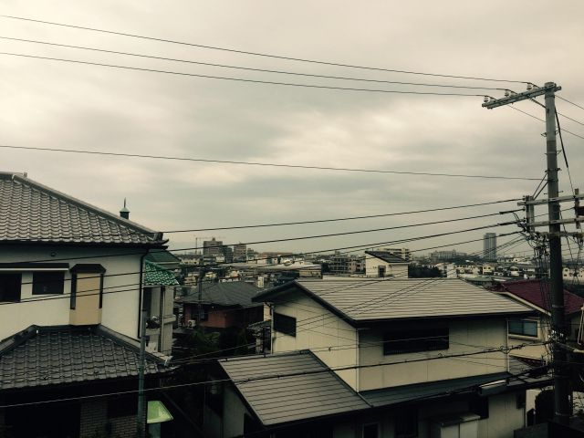 コフレ朝霧の展望