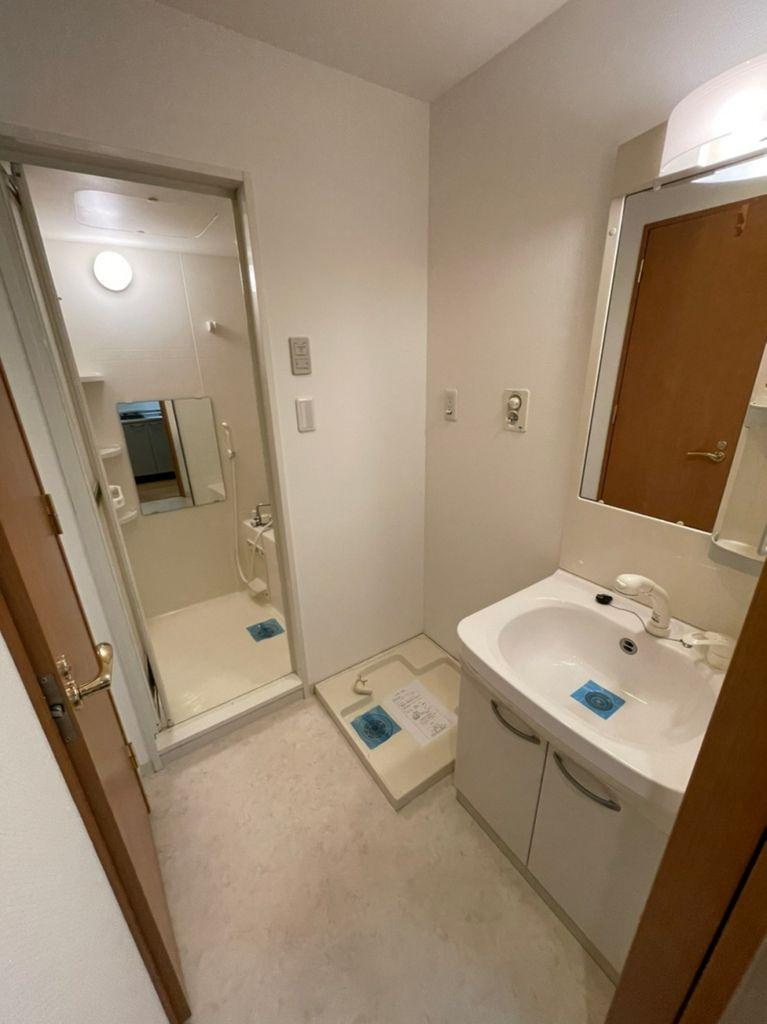 リアライズ代官町(willDo代官町)　名古屋市賃貸　仲介手数料無料の洗面所