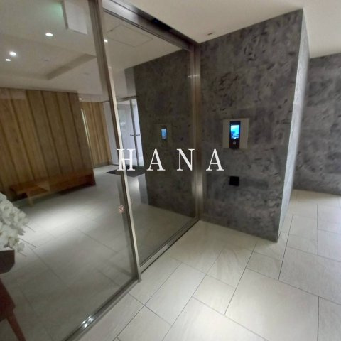 プローシュⅡのその他