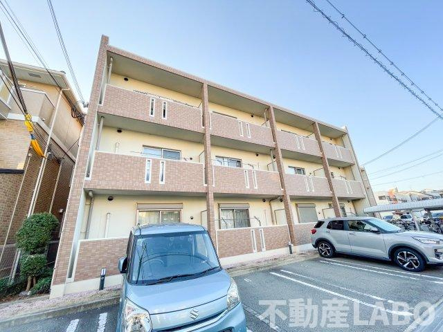 グレイスコート