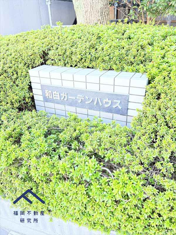 和白ガーデンハウスの庭