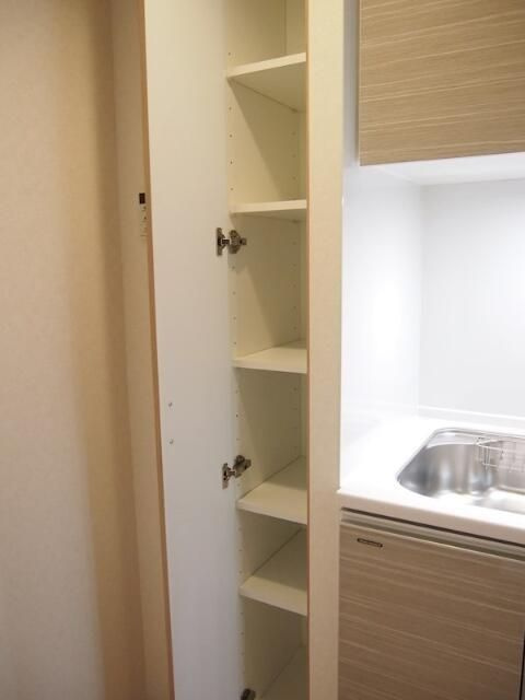 ルーブル両国弐番館の収納