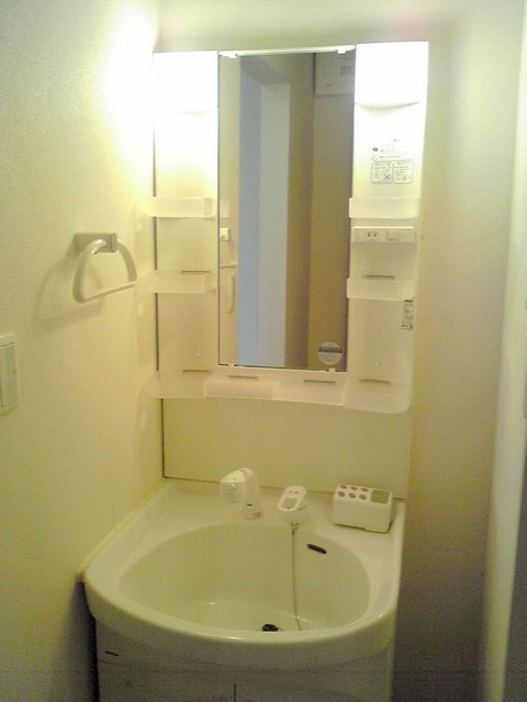 ファミール白楽の洗面所|忙しい朝に嬉しいシャンプードレッサー