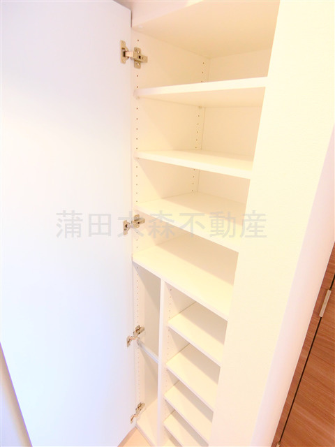 ラフィスタ蒲田南Ⅱの収納|玄関収納！
