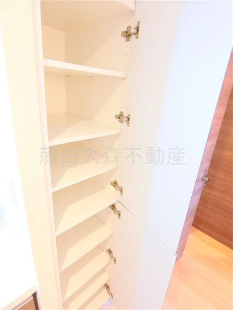 ラフィスタ蒲田南Ⅱの収納|洗面脱衣所の棚収納！