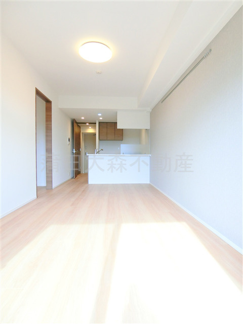 ラフィスタ蒲田南Ⅱの居間・リビング|LDK