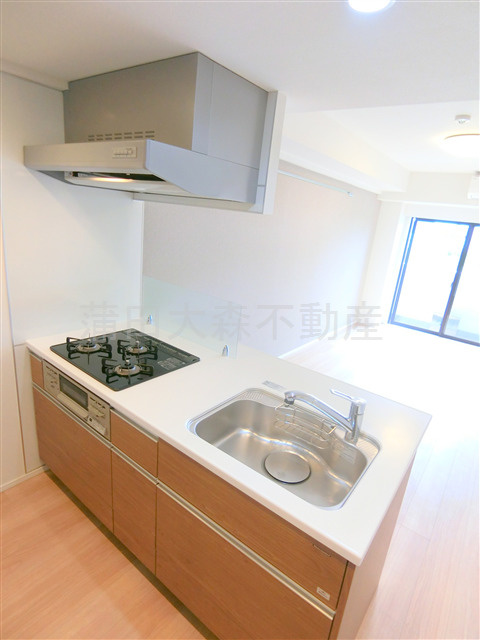 ラフィスタ蒲田南Ⅱのキッチン|3口ガスグリル付システムキッチン