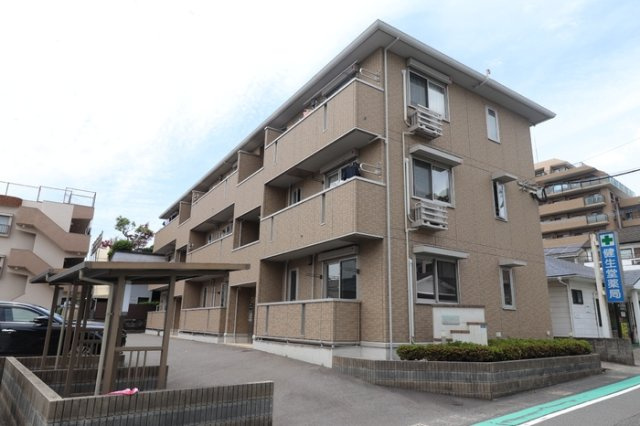 アヴニールマーガレット の画像