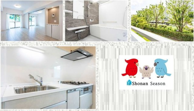  | Ｒ7.7月リフォーム完了で水回り・床や壁のクロス交換済み◎