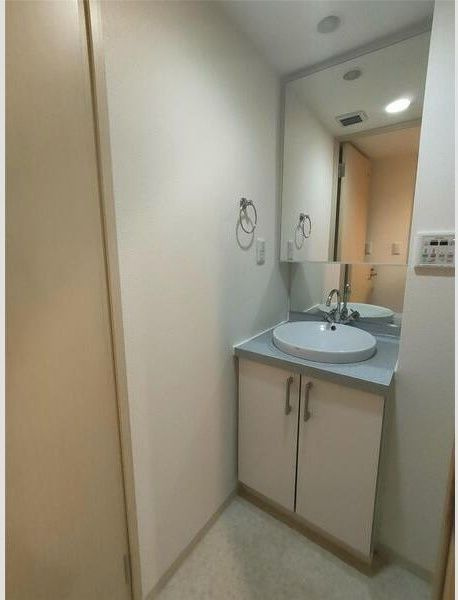 LUMINOUS新大阪(旧:S-FORT新大阪ravir)の洗面所