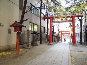 シャンブル東新宿の周辺