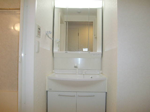 メゾンドバレーの洗面所