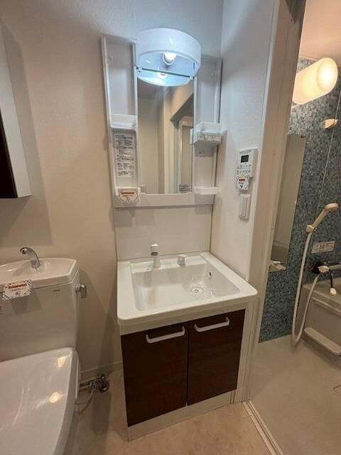 セレーナ神之木町の洗面所