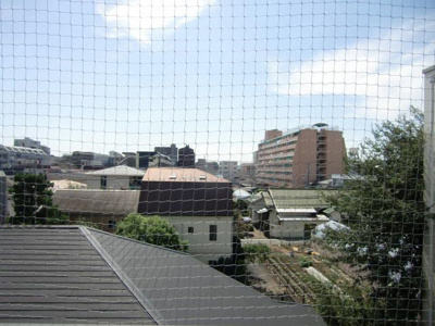 【展望】 | 倉林マンション