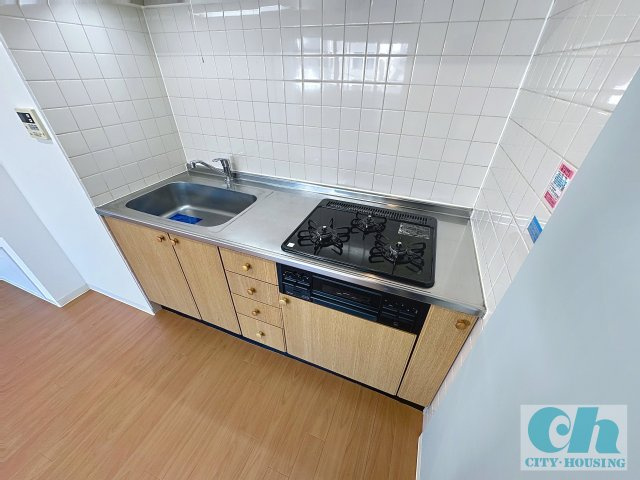 リヴェール多摩川 303号室のキッチン