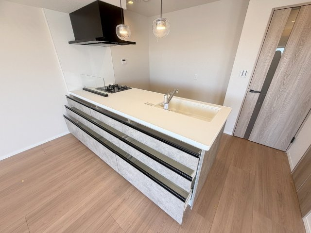 パークフィールドみさとテラ・ウエスト5街区2号館のキッチン|収納充実なシステムキッチンです