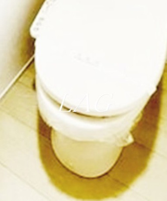 【トイレ】 | Ａ・Ｗレジデンス池袋本町 | トイレです。