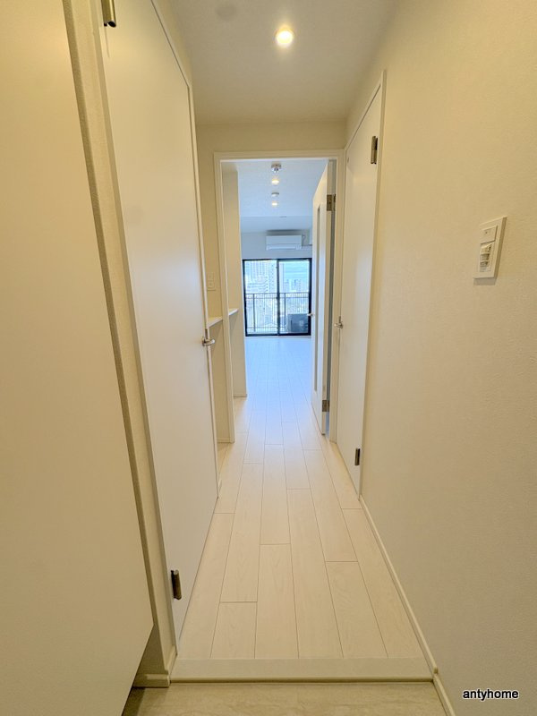 スプランディッド弁天町DUE　仲介手数料無料の内装