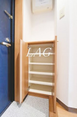 【収納】 | サンテミリオン品川戸越 | シューズボックスです。