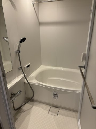 (旧プライムアーバン駒込)の浴室