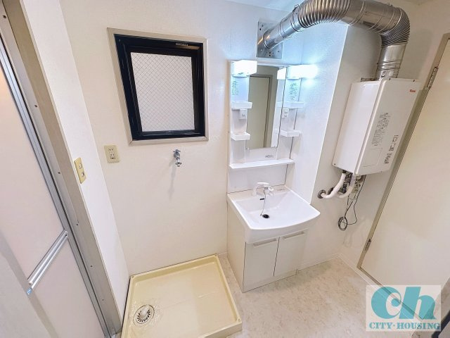 ドミール新田 302号室の洗面所