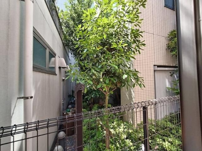 【展望】 | シャトレＫＡＭＩＹＡⅡ