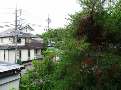 【展望】 | コーポ千代荘