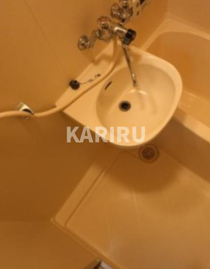 エムロード蒲生の洗面所