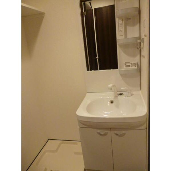 エクセレント上新20の洗面所