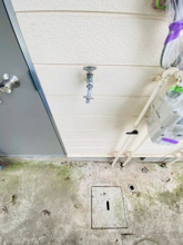 【その他】 | ※室外洗濯機置場☆