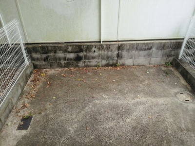 【庭】 | フォンテーヌブロー | お庭が付いています