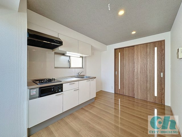 フェリーチェ中延 301号室のキッチン