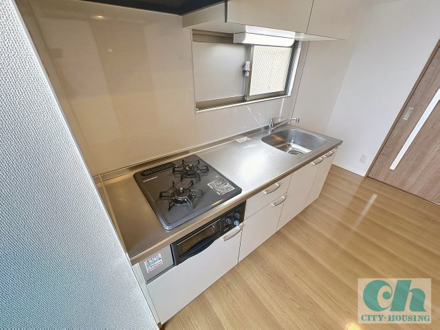 フェリーチェ中延 301号室のキッチン